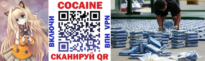 Cocaine Fish Scale  Купить закладки  Инза 