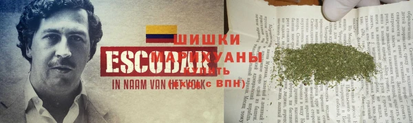 Альфа ПВП Карталы