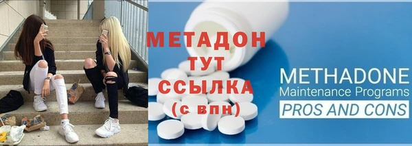 индика Карпинск