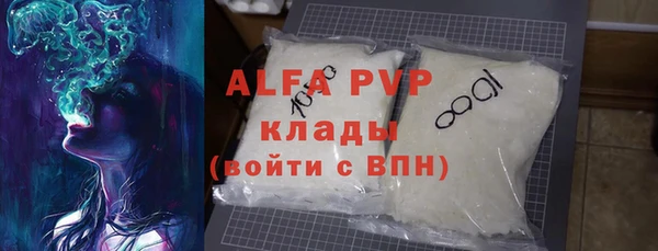 индика Карпинск