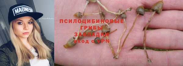 стафф Касимов