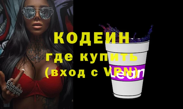 стафф Касимов