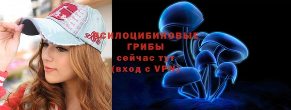 индика Карпинск