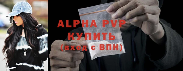стафф Касимов