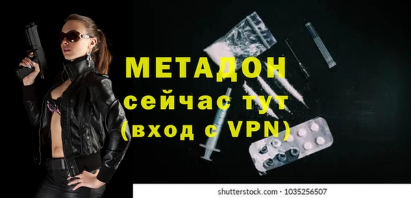индика Карпинск