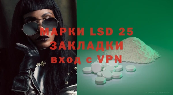индика Карпинск