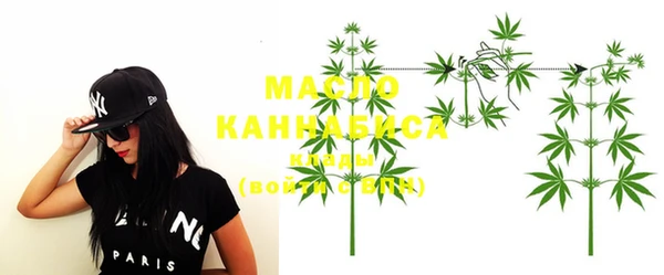 индика Карпинск