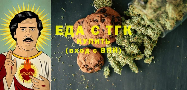 индика Карпинск