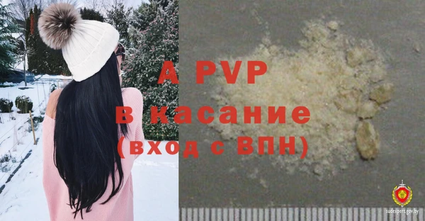 стафф Касимов