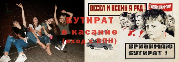 индика Карпинск