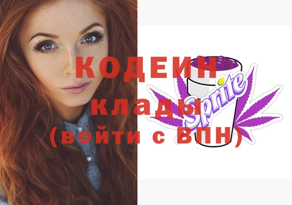 индика Карпинск