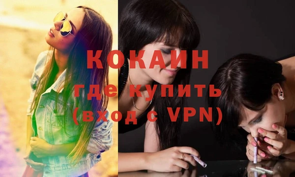 стафф Касимов