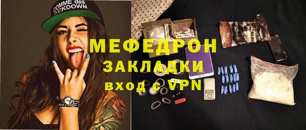 индика Карпинск