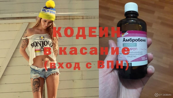 индика Карпинск