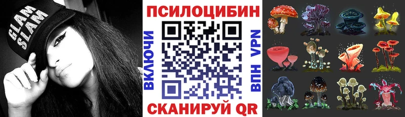 Купить закладки  Инза  Галлюциногенные грибы Magic Shrooms 